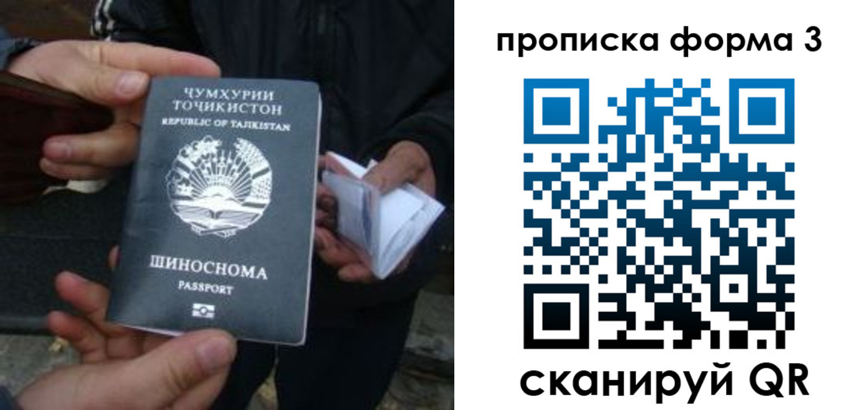 прописка 2025 в Губкине